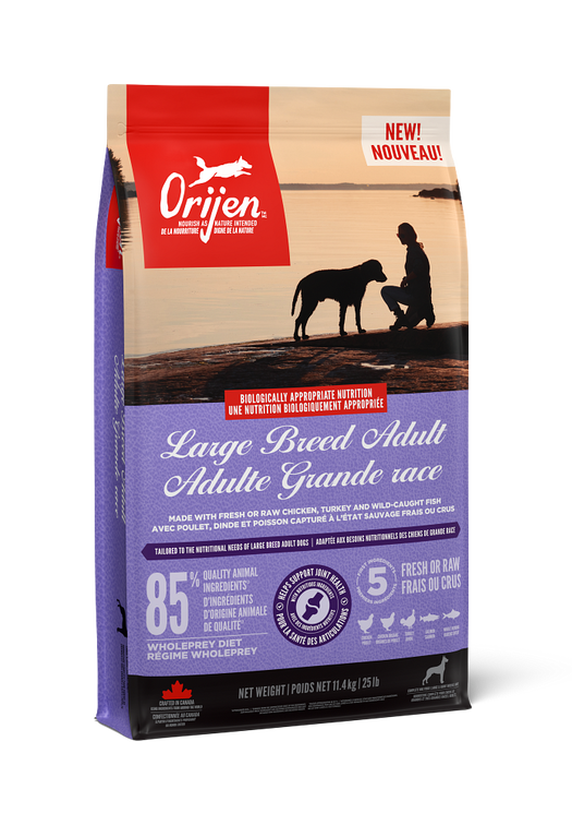 CHIEN ADULTE GRANDE RACE